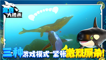 隐秘的档案拯救天使通关攻略！
